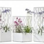Trồng hoa trang trí nhà với hàng rào thiết kế kiểu cách 1